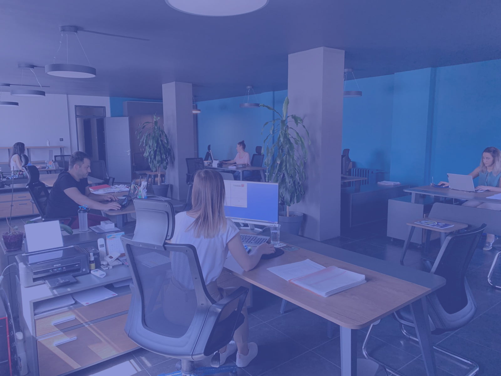 Dolfin · ÇNK referansları